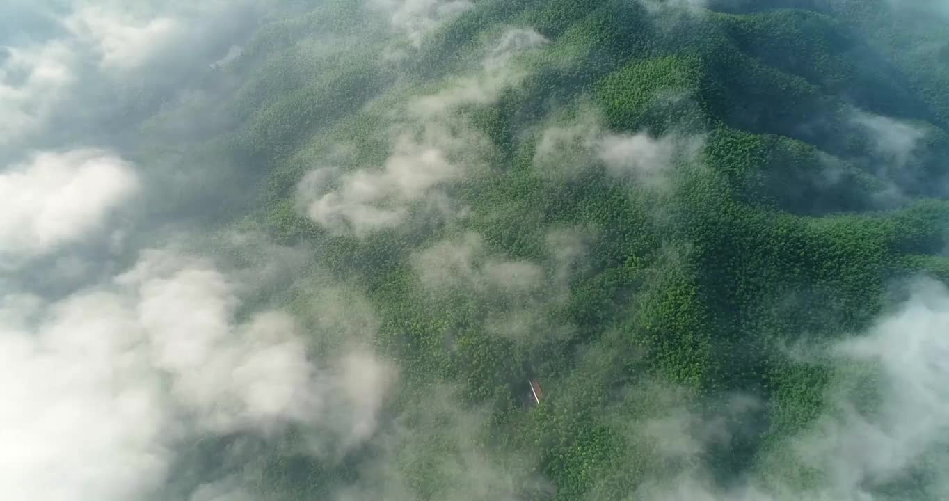 山 云雾 森林 自然 绿色视频素材