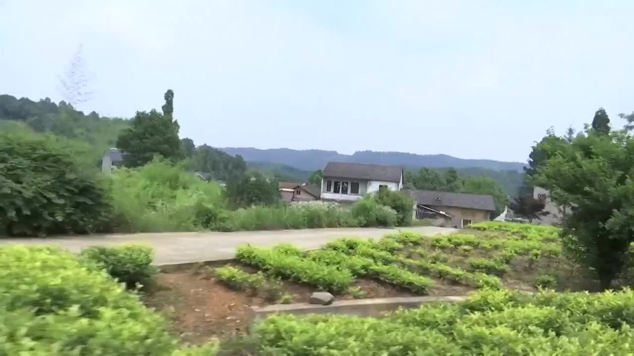 浙江省湖州市的乡村及观光列车的窗外景象视频素材