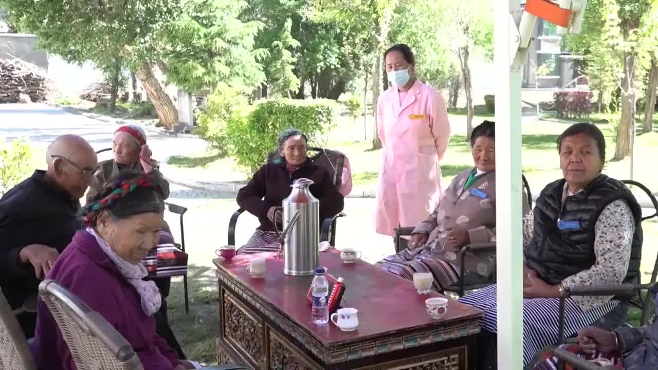 西藏拉萨市老年人聚会喝茶视频购买