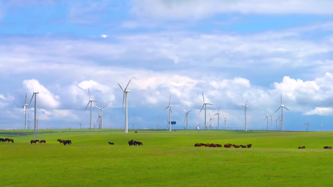 中国内蒙古呼和浩特辉腾锡勒黄花沟草原上的风电场和牛群公路视频素材