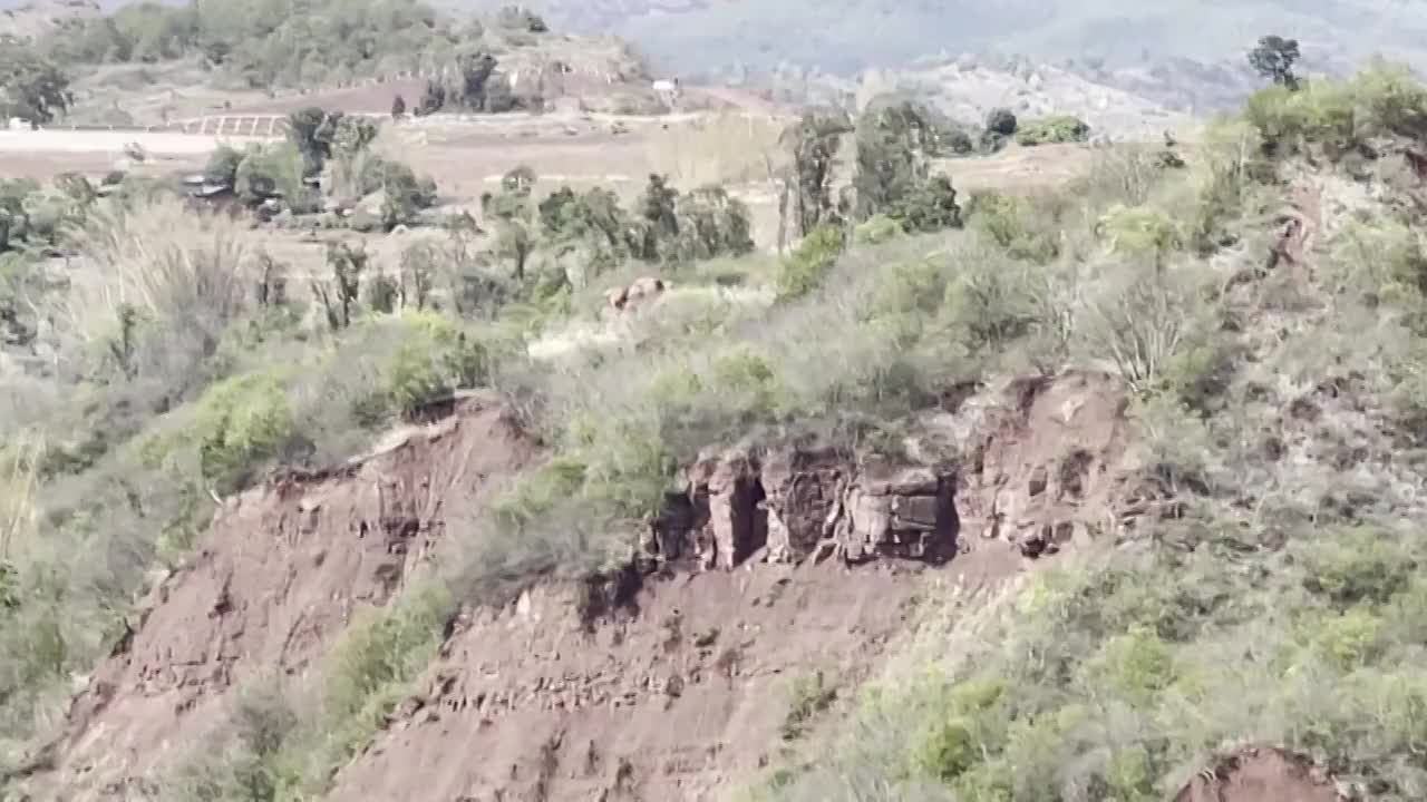 中国云南昆明航拍农田上的野生大象视频素材