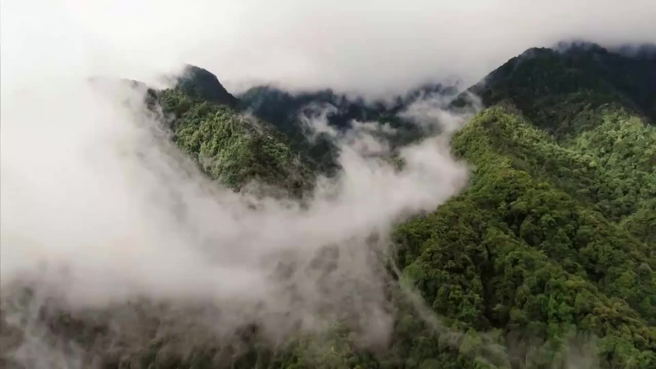 云南省高黎贡山国家级自然保护区航拍视频素材