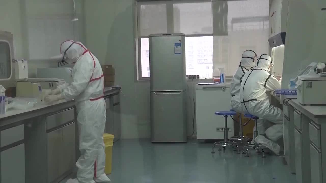 中国湖北武汉进行新冠病毒试验的研究人员视频素材