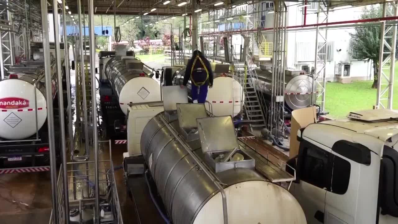 巴西乳制品生产线视频素材