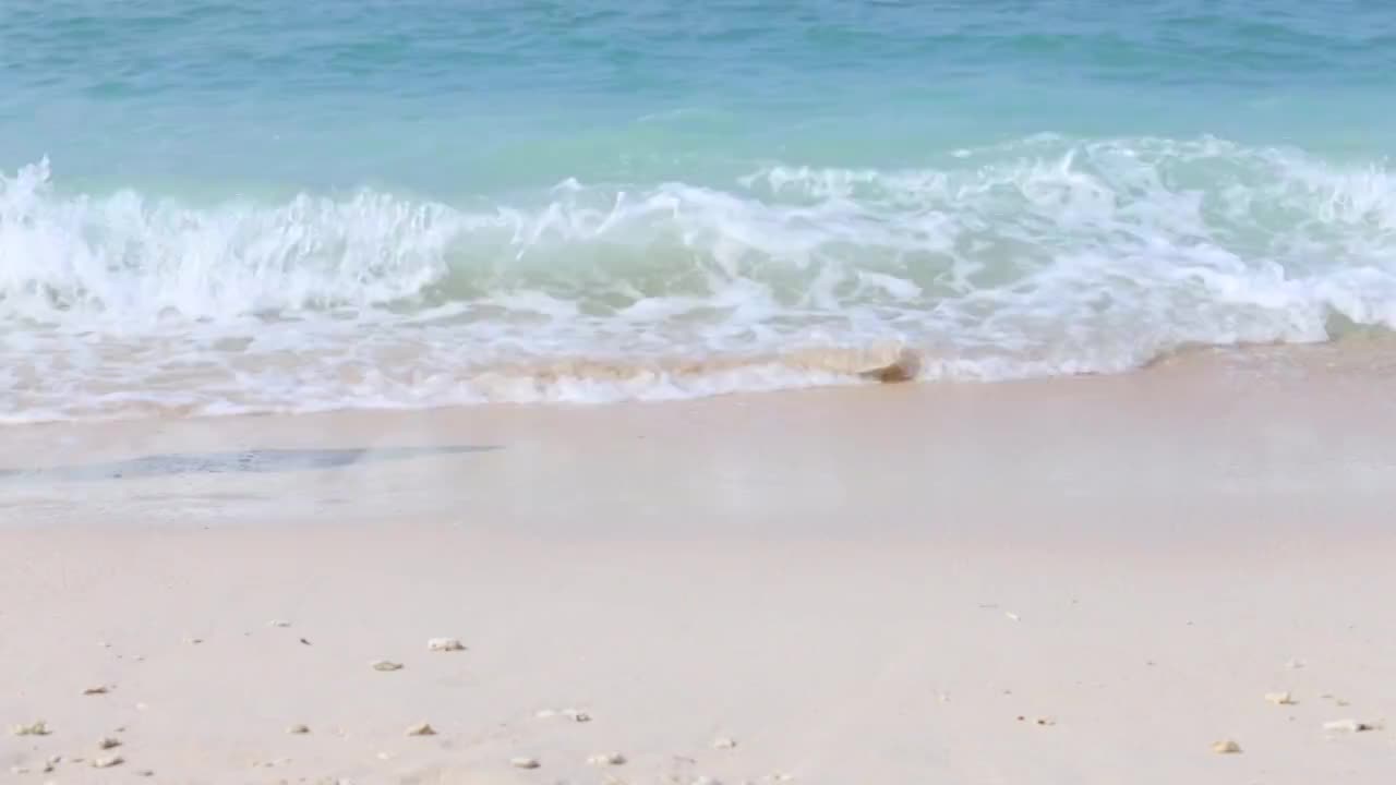 踏着海浪行走在沙滩上的女人视频素材