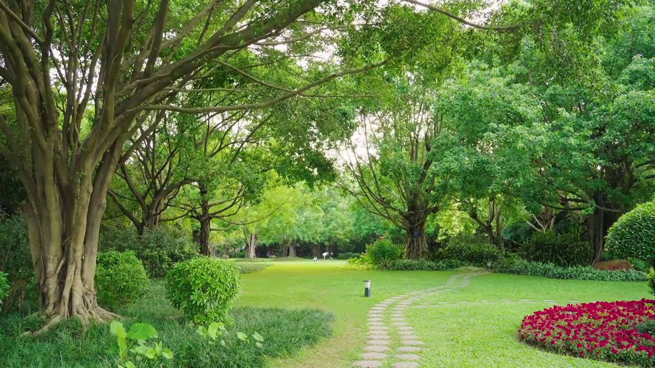 南宁南湖公园优美的绿化环境视频素材