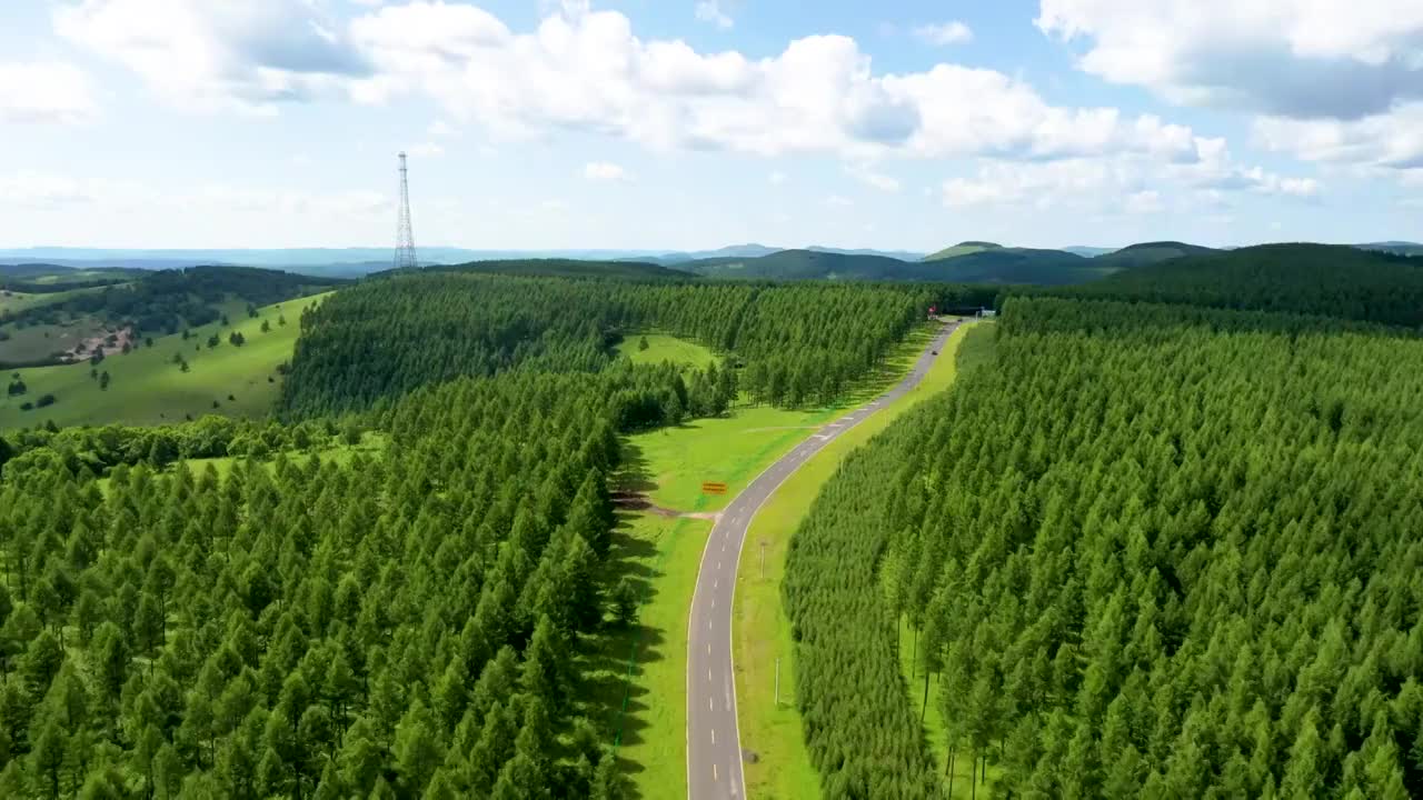 森林中的公路视频素材