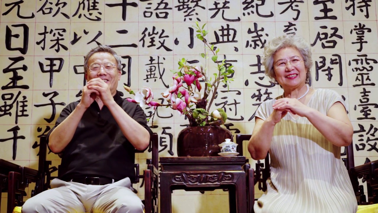 幸福的老年夫妇视频素材