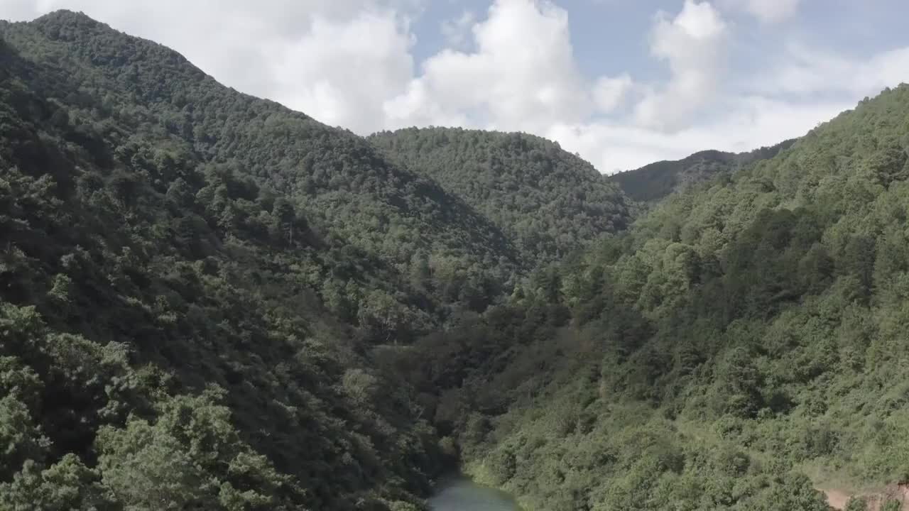 航拍原始森林视频素材