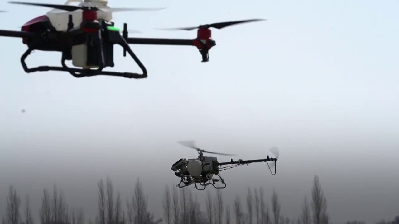 中国农村无人机在农田上方喷洒农药视频素材