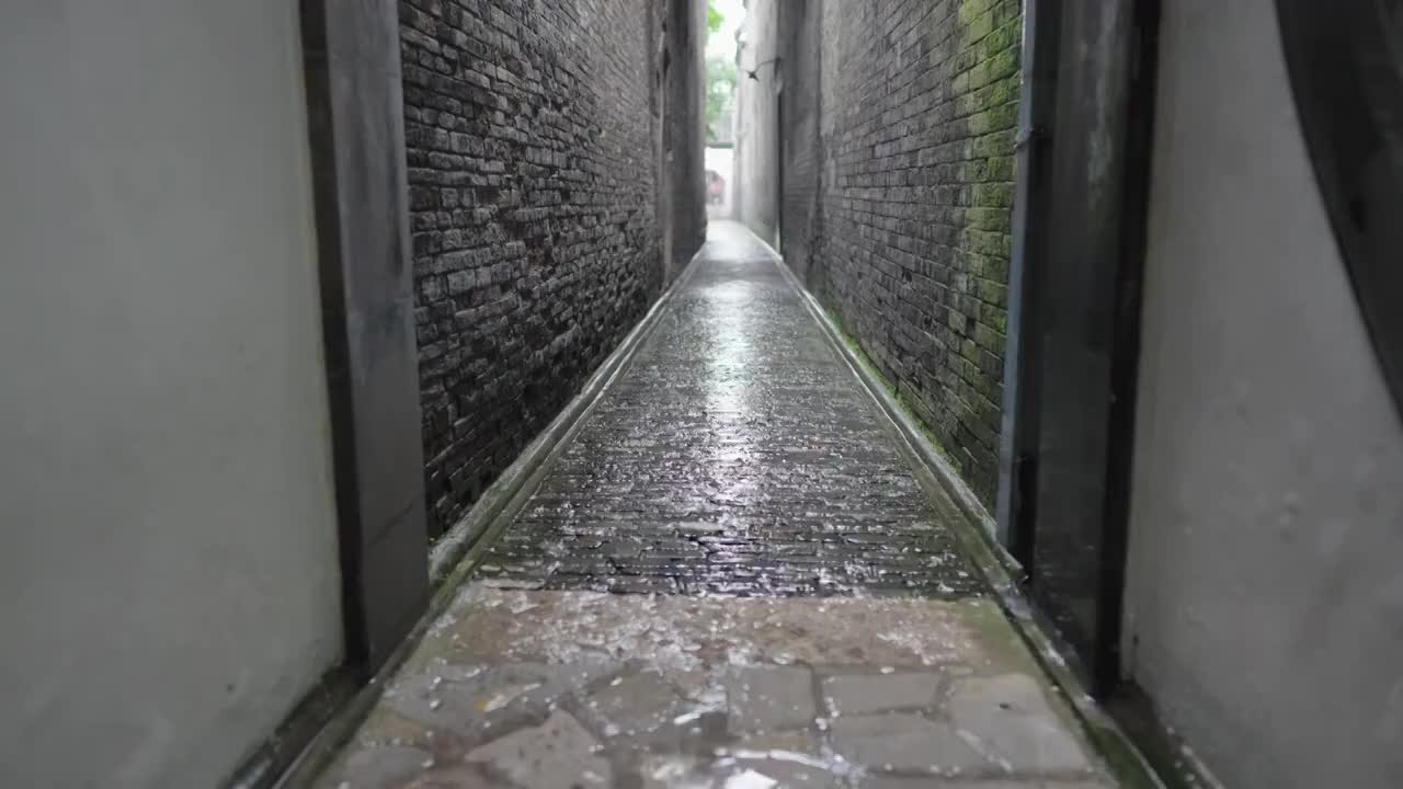 扬州艺圃雨景视频下载