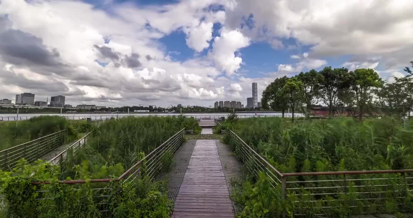 徐汇滨江 船只穿梭 前景绿化 郁郁葱葱视频素材