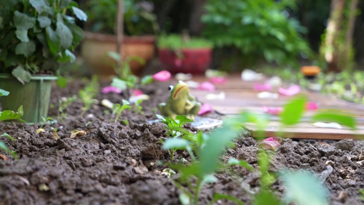 花园春天夏天的怡人景致视频素材