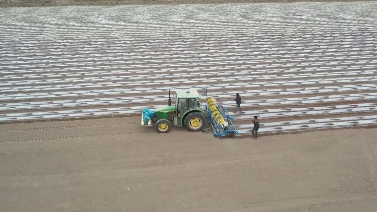 新疆维吾尔自治区收割机在棉花田工作航拍视频素材