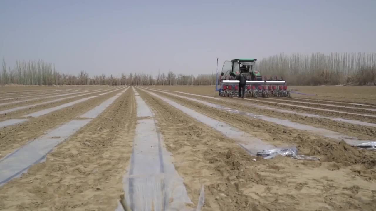 新疆维吾尔自治区拖拉机在棉花田工作视频素材