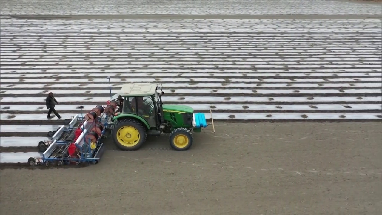 新疆维吾尔自治区拖拉机在棉花田工作视频素材