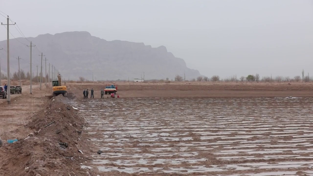 新疆维吾尔自治区在棉花田工作的拖拉机视频素材