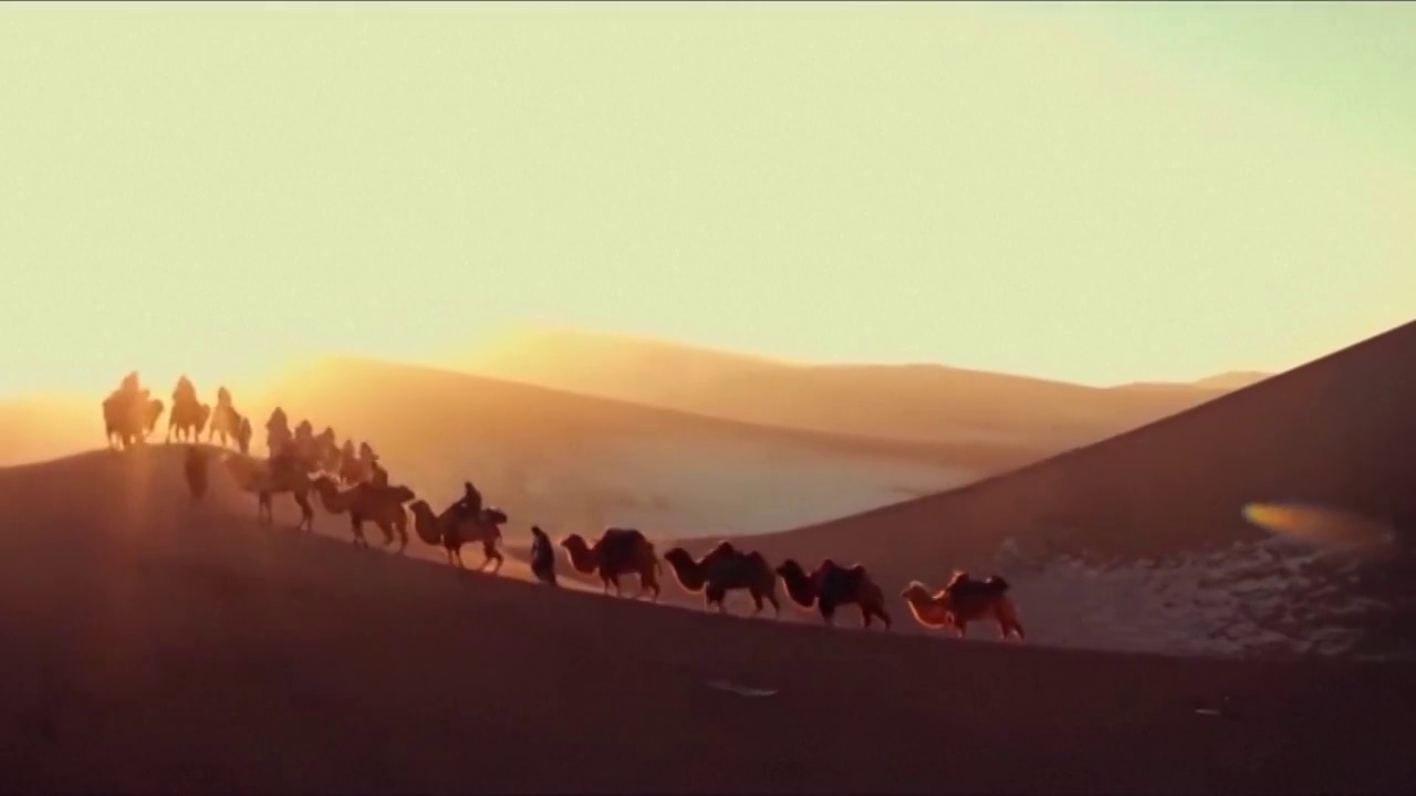新疆维吾尔自治区沙漠中的骆驼商队视频购买