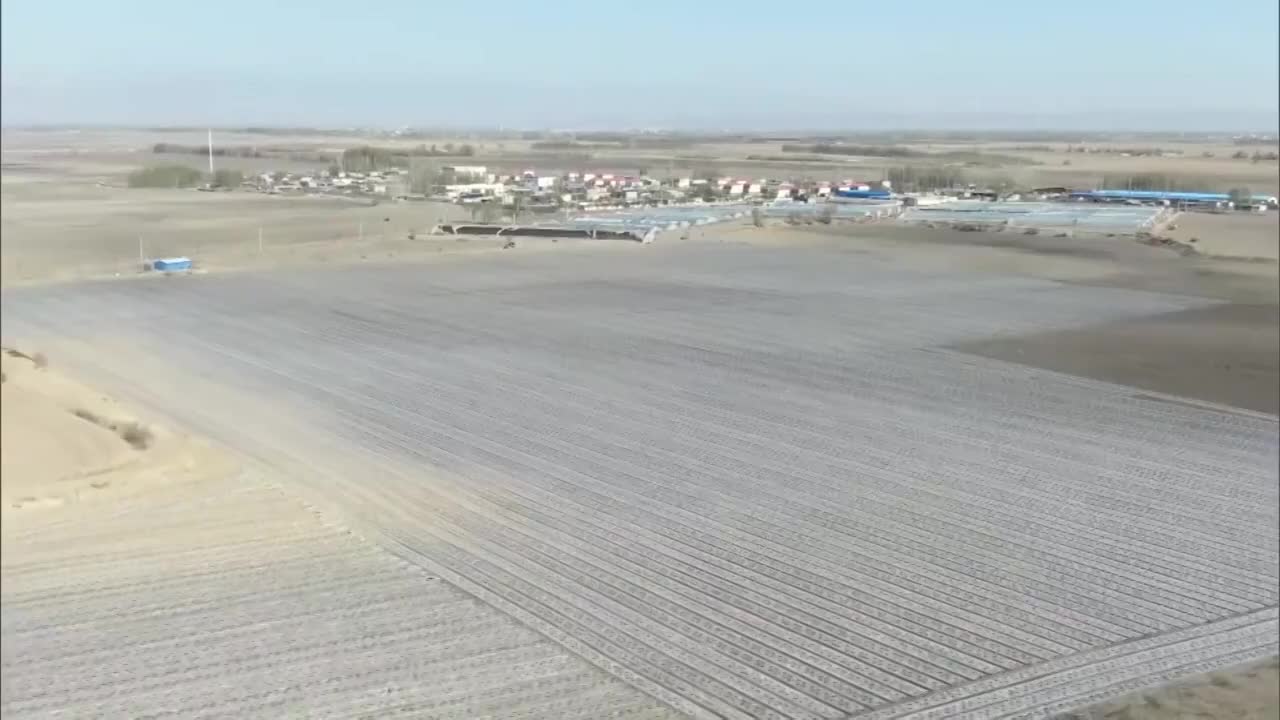 新疆维吾尔自治区博乐市棉花田航拍视频素材