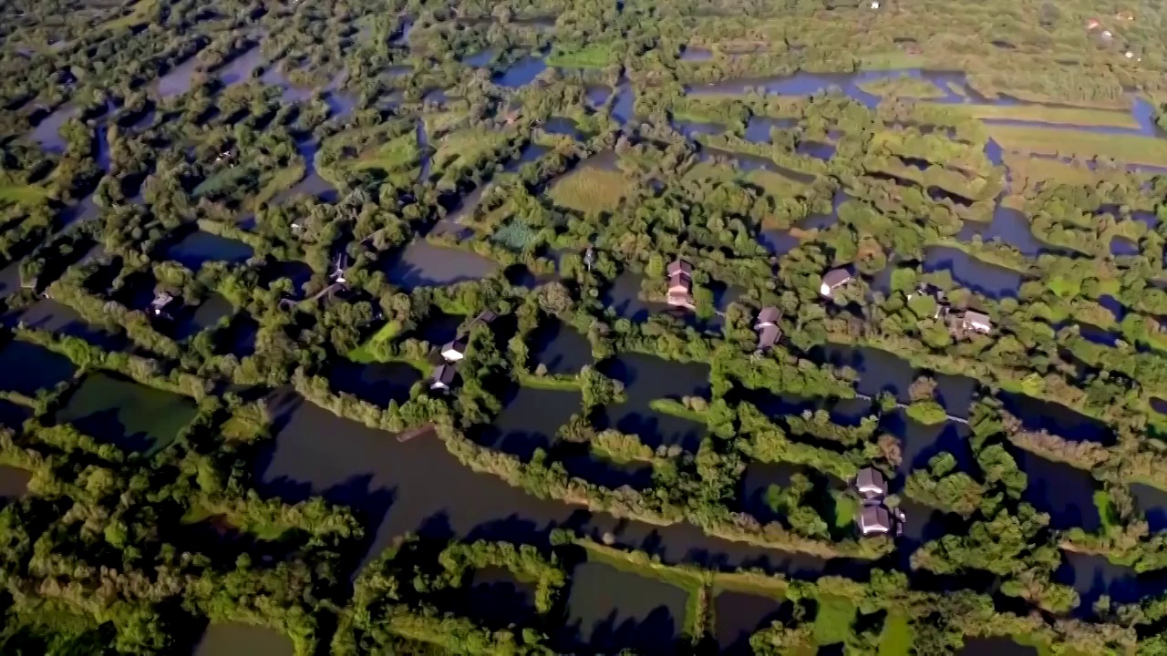 中国浙江杭州生态湿地航拍视频素材
