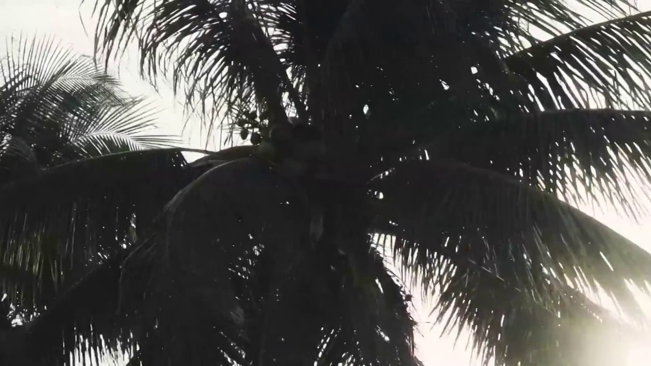 海南万宁日月湾海滨景观和冲浪者航拍，椰子树视频素材