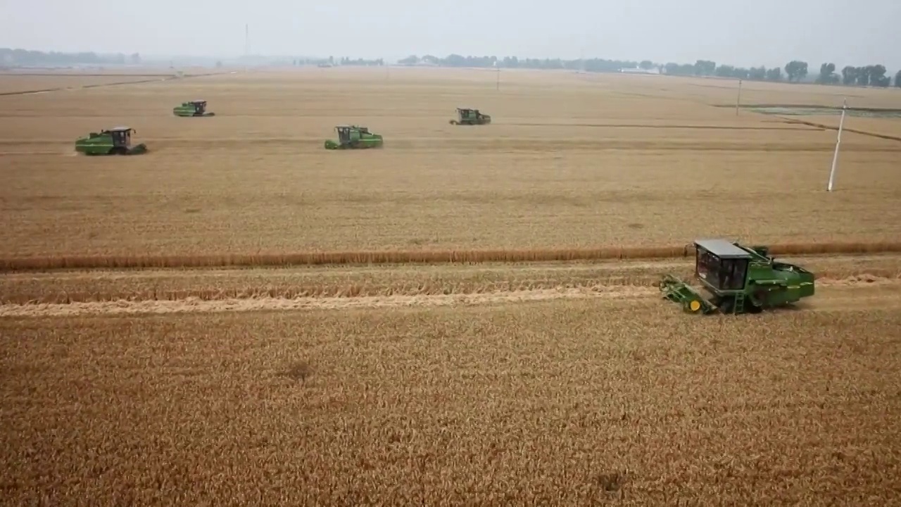 河南郑州机械收割小麦场景视频素材