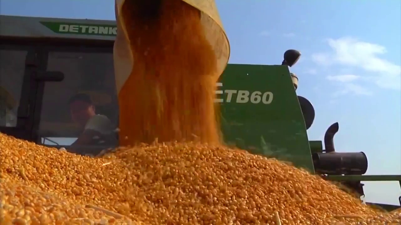 河南郑州机械收割小麦场景视频素材