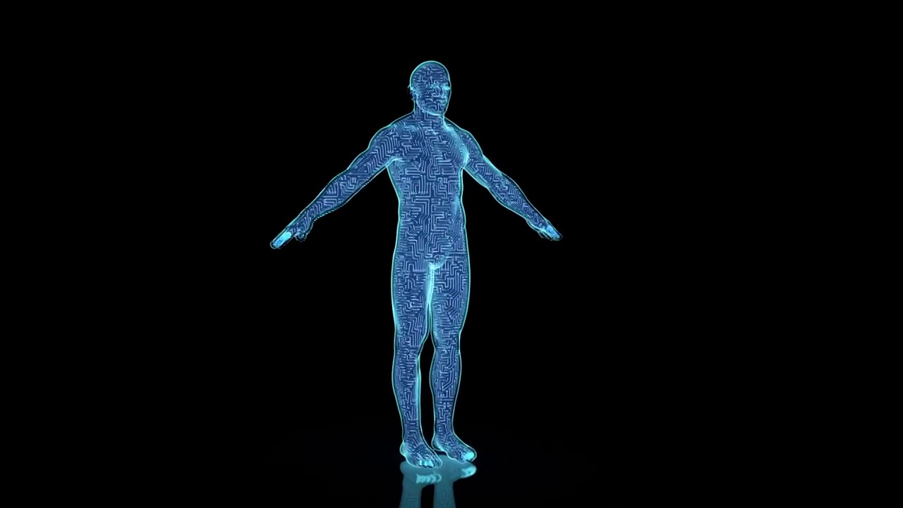 全息人体模型，三维图形视频下载