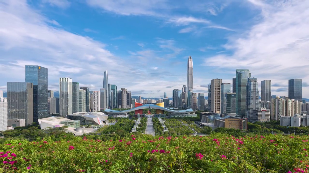 莲花山山顶广场俯瞰深圳市区美景视频素材