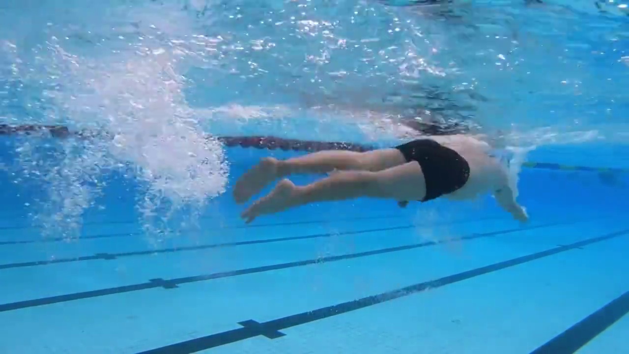 体育运动的水下摄影：自由泳视频下载