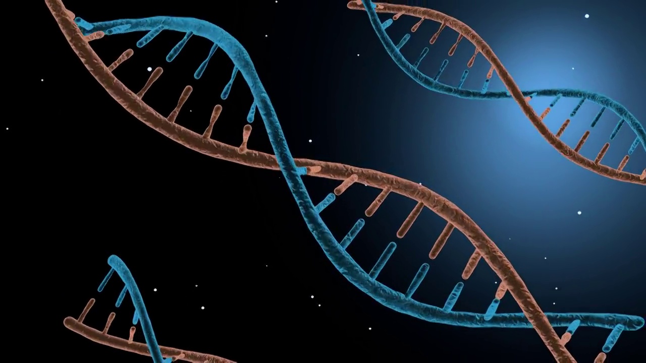 DNA，分子，细胞，遗传视频下载