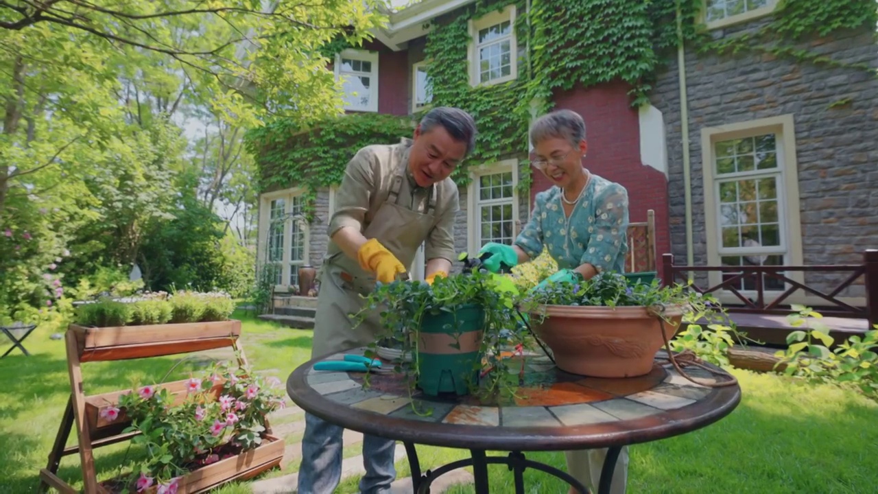 老年夫妇在院子里修剪花草视频下载