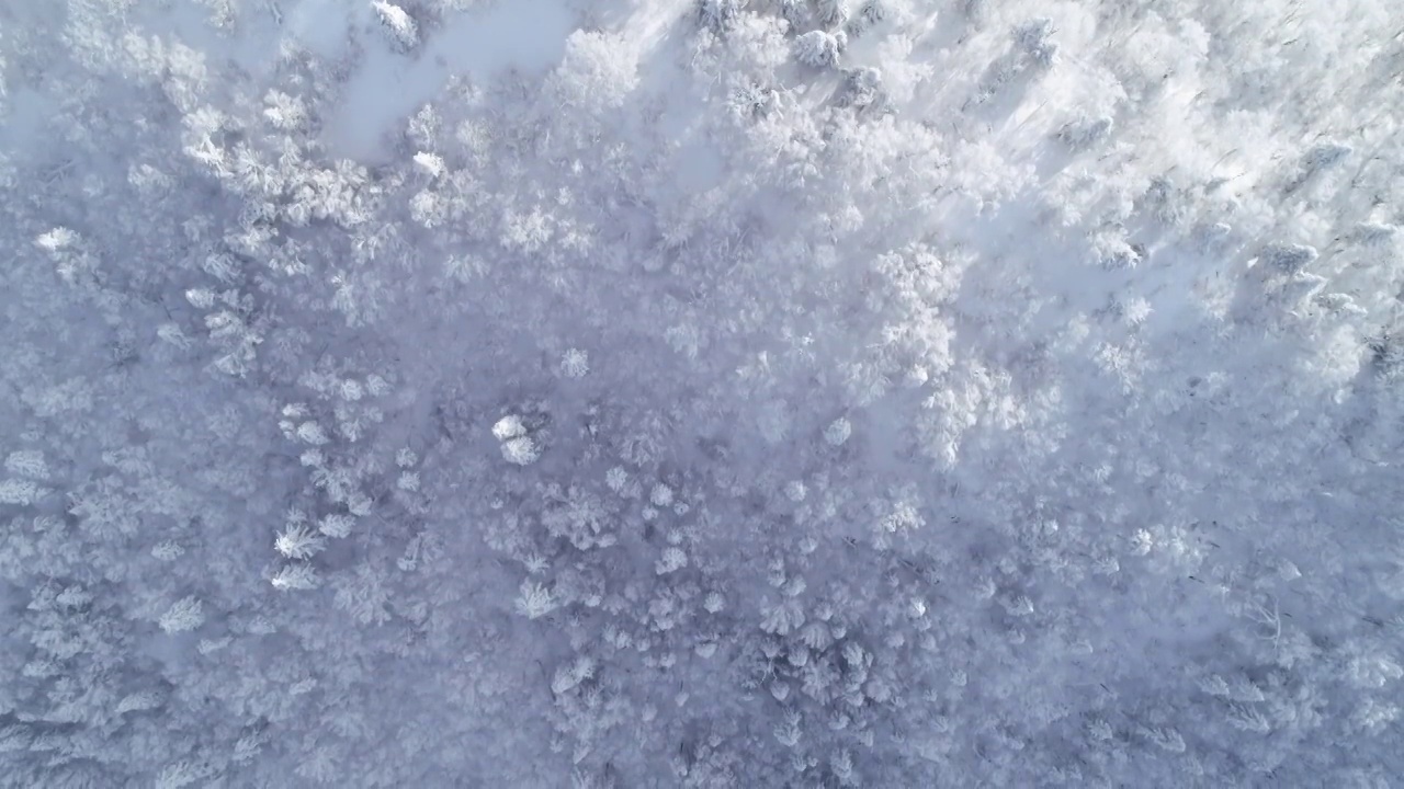 航拍哈尔滨亚布力滑雪场大锅盔山视频素材