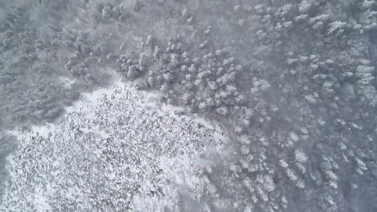 航拍哈尔滨亚布力滑雪场大锅盔山视频素材