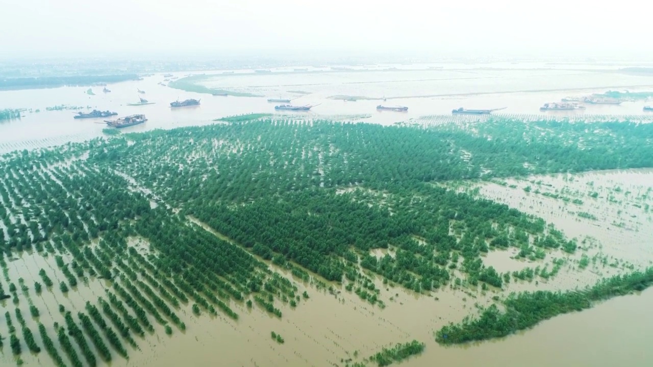 航拍长江洪峰过境洪水泛滥视频素材