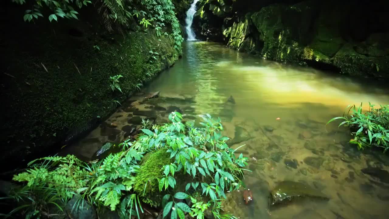 丛林秘境瀑布流水视频素材