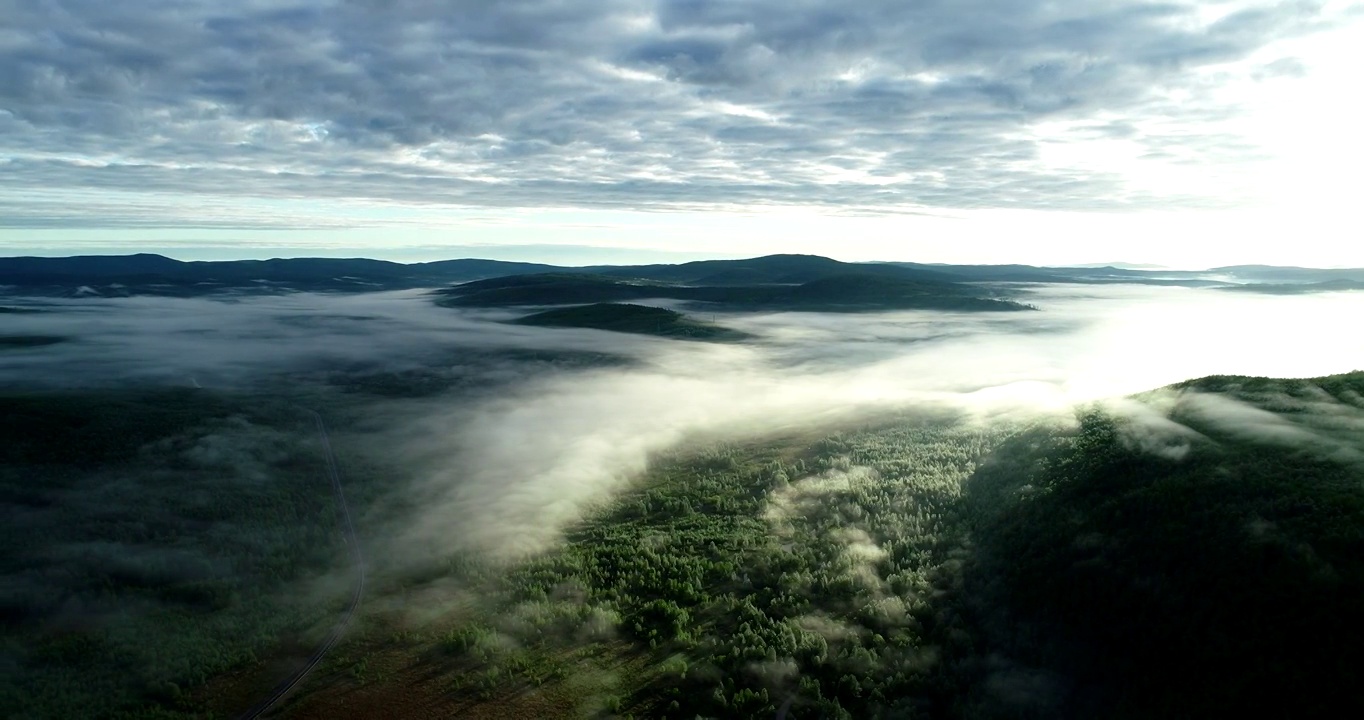 航拍大兴安岭冻土地带森林晨雾视频素材