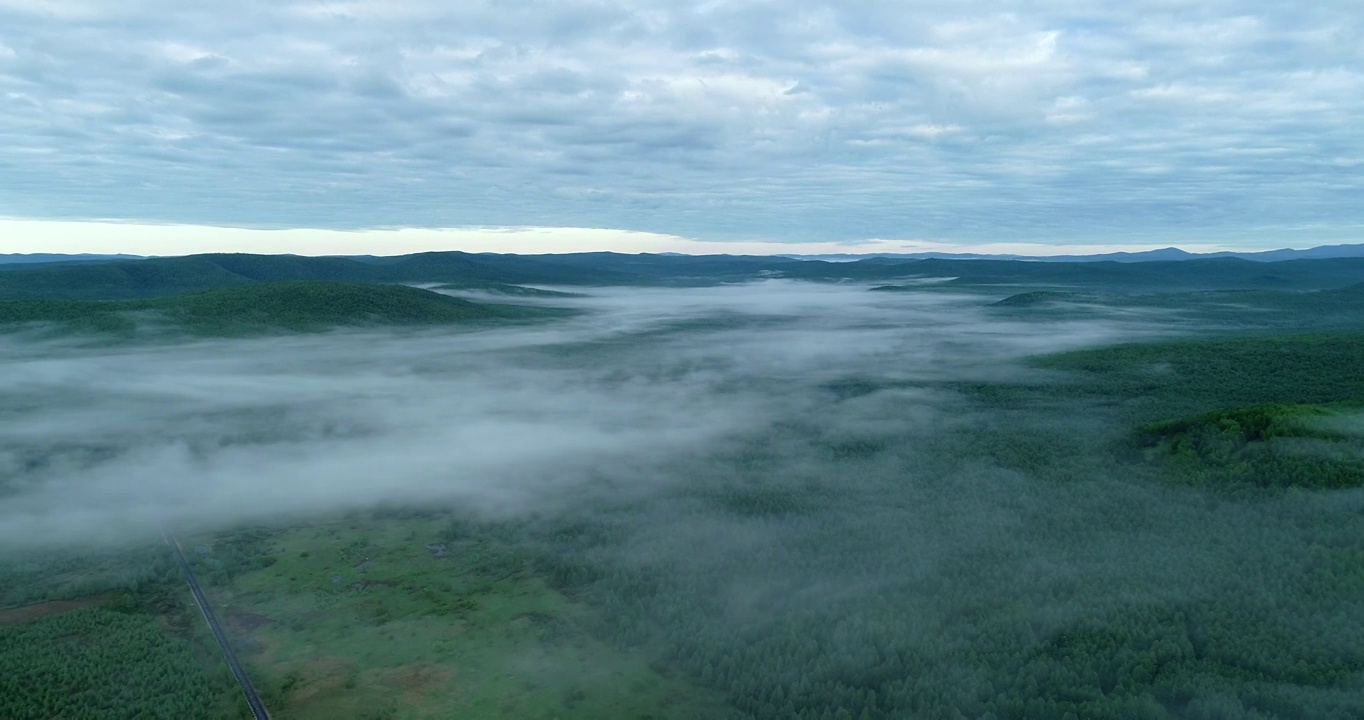 航拍大兴安岭冻土地带森林晨雾视频素材