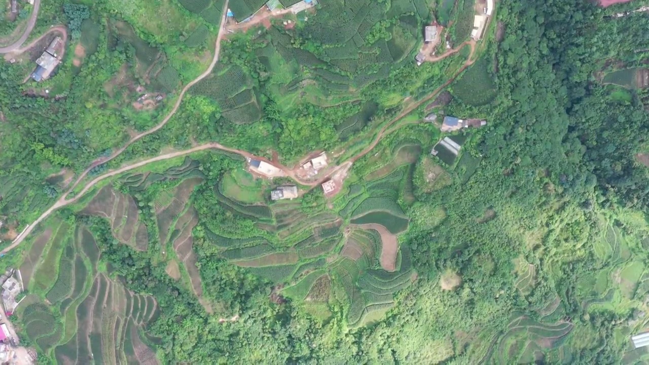 云南省昆明市郊区山区森林航拍风光视频素材