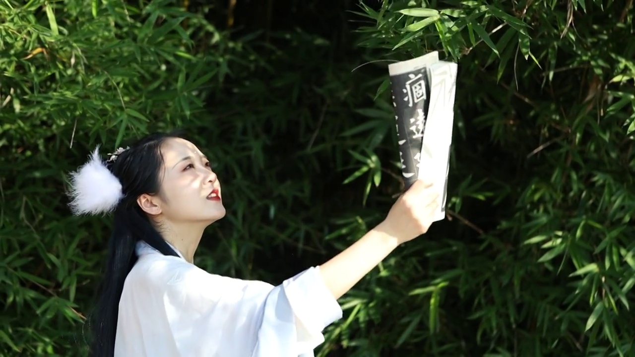 中国美女穿着汉服拿着书肖像视频素材
