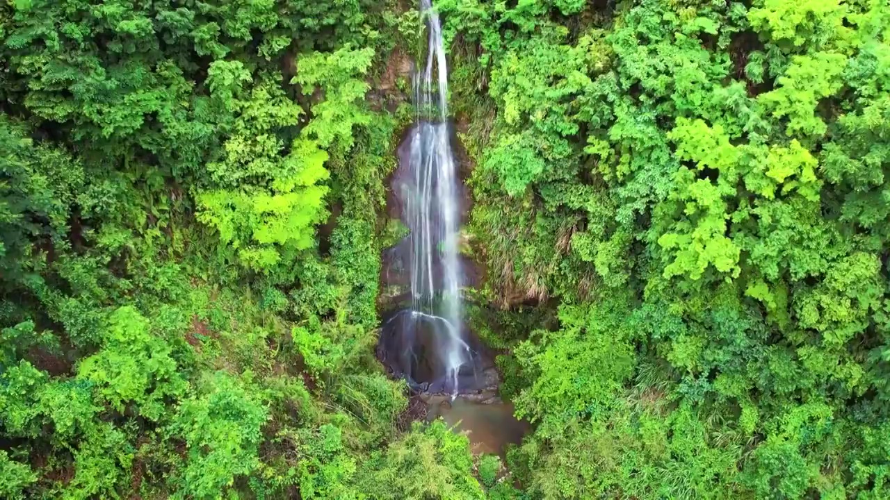 航拍原始森林丛林瀑布视频素材