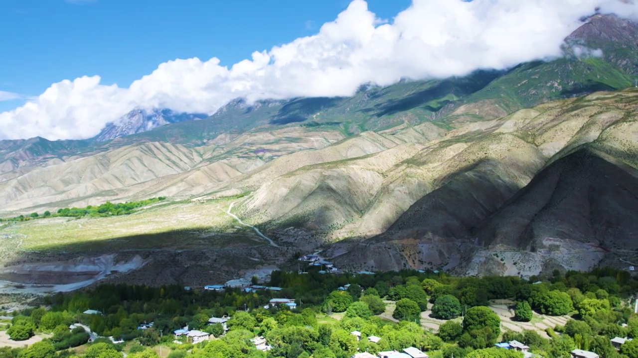 航拍西藏林芝市千年核桃林视频素材