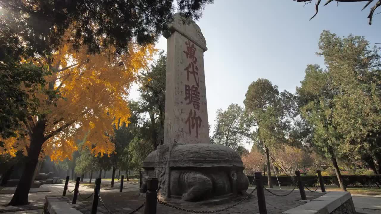 岱庙古建筑深秋景色风景视频素材