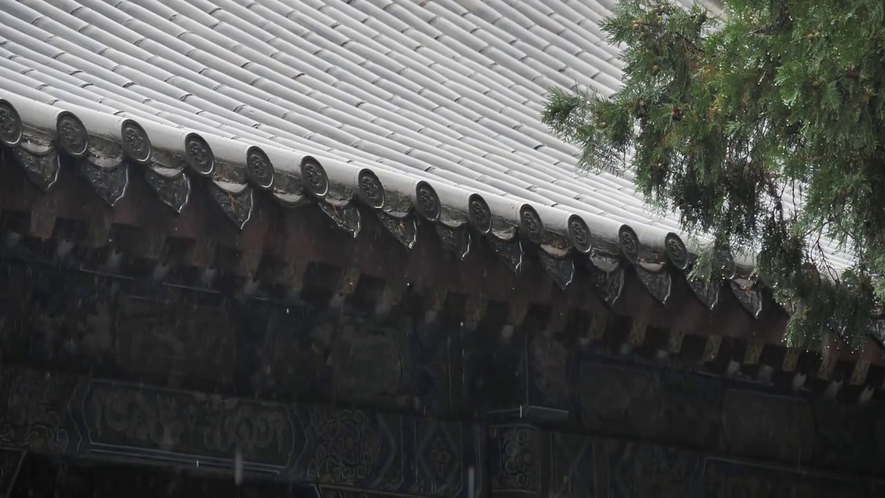 秋季下雨中岱庙古迹古建筑屋檐滴水雨中景色视频素材