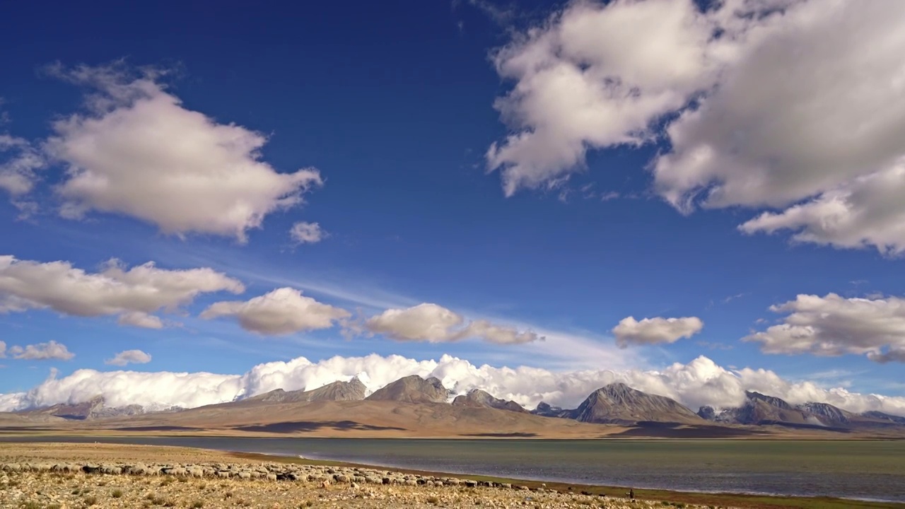 西藏风光日喀则神湖多庆措湖边的羊群视频素材