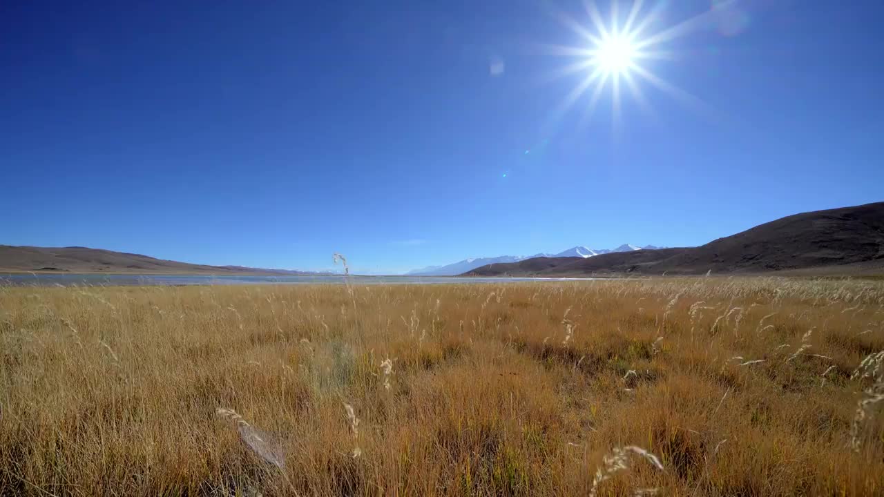 西藏草原风光视频素材