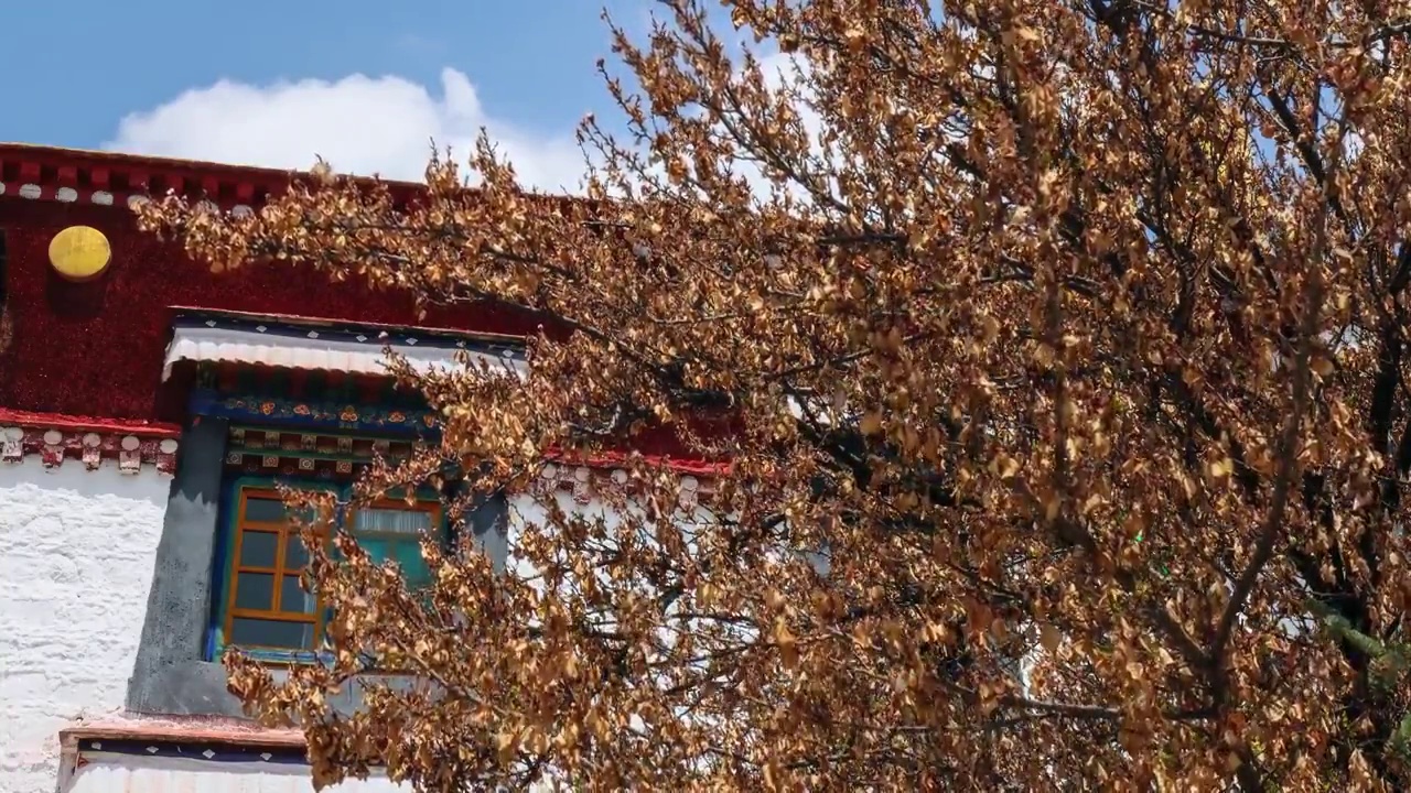 西藏拉萨哲蚌寺风光视频素材