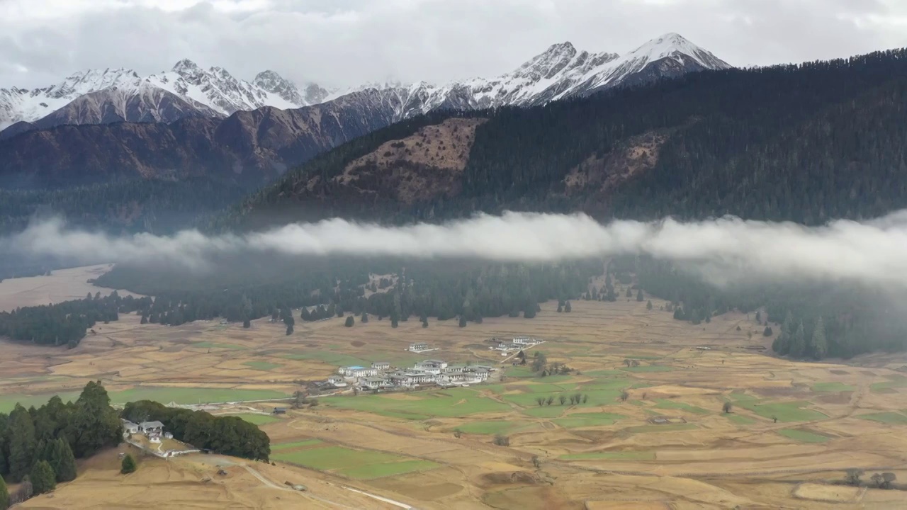 西藏林芝鲁朗小镇风光视频素材