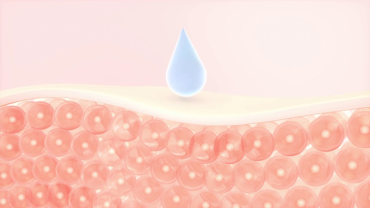 皮肤细胞与吸收的水滴 3D渲染视频素材