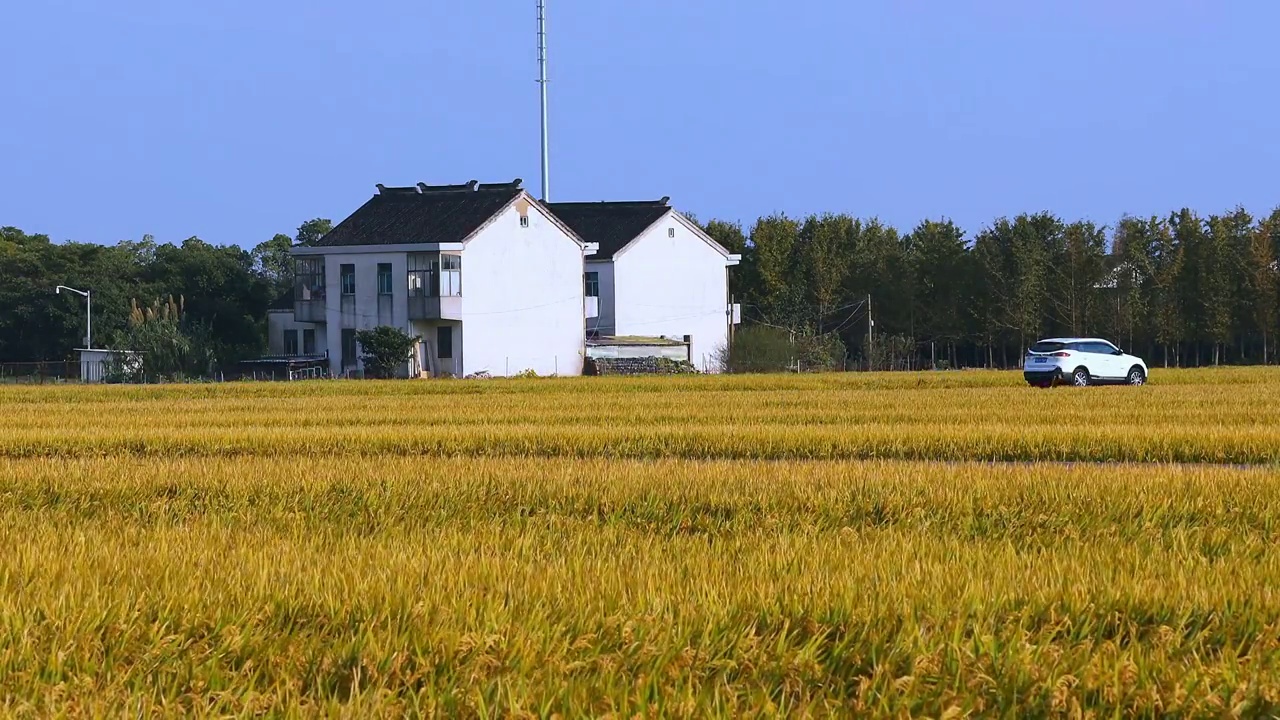 苏州园区甪直澄湖农业示范区视频素材